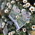 Rhodanthemum - African Eyes