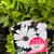 Osteospermum - Serenity White African Daisy