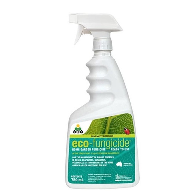 Eco-fungicide 750ml Ready to use
