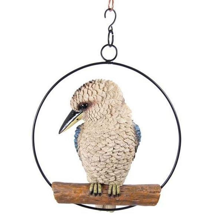 25cm Kookaburra in Ring