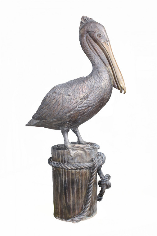 Bronze Pelican