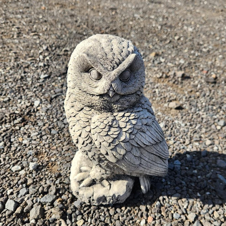 Concrete Owl