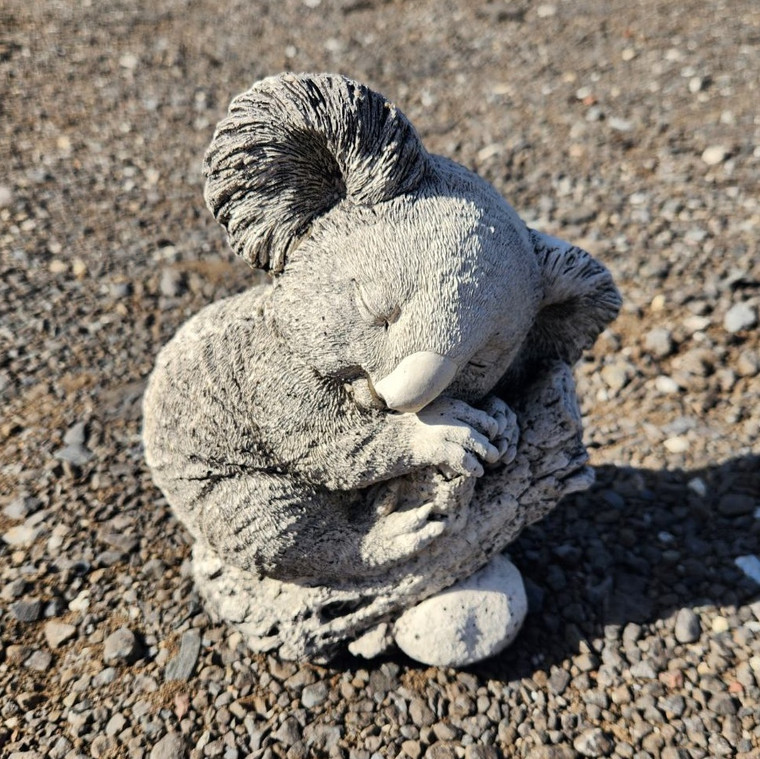Concrete Koala