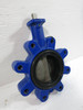 NEW Isoria 10 3G6K6UY Butterfly Valve PN10 4" New Never Installed (TK5230-1)