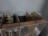 Boltswitch VLDC2610-ST 2000A 600V DC 2P Contact Switch Disconnect 2000 Amp VLDC (DW8606-1)