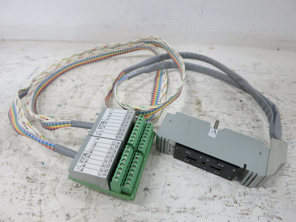 Foxboro I/A Series DM900WT-C Termination Cable Assembly PLC DM9OOWT-C Invensys (EBI1552-3)