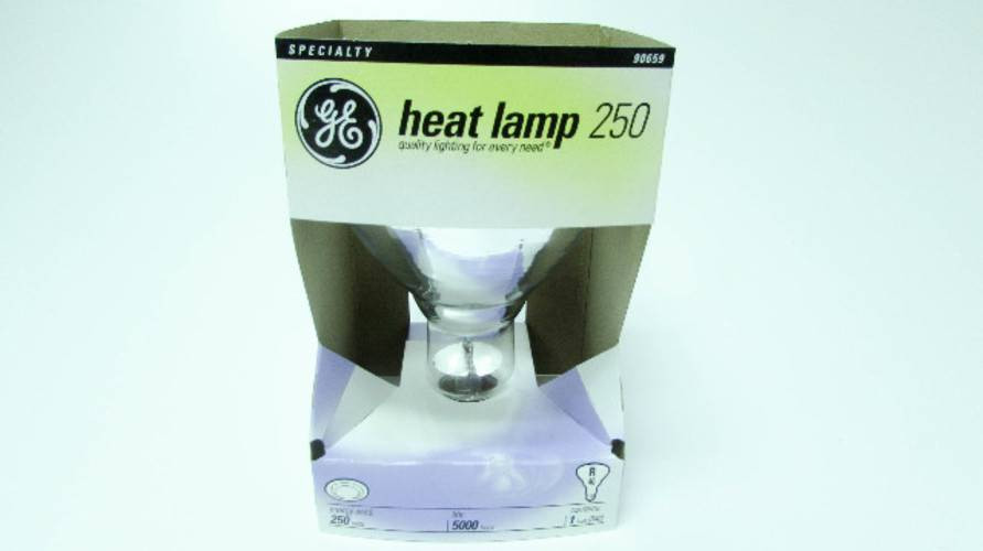 NEW GE Lighting 250R40/1 Lot of 6 Heat Lamp Light Bulbs 250W/R40/1 (BOX OF 6) (YY1496-47)