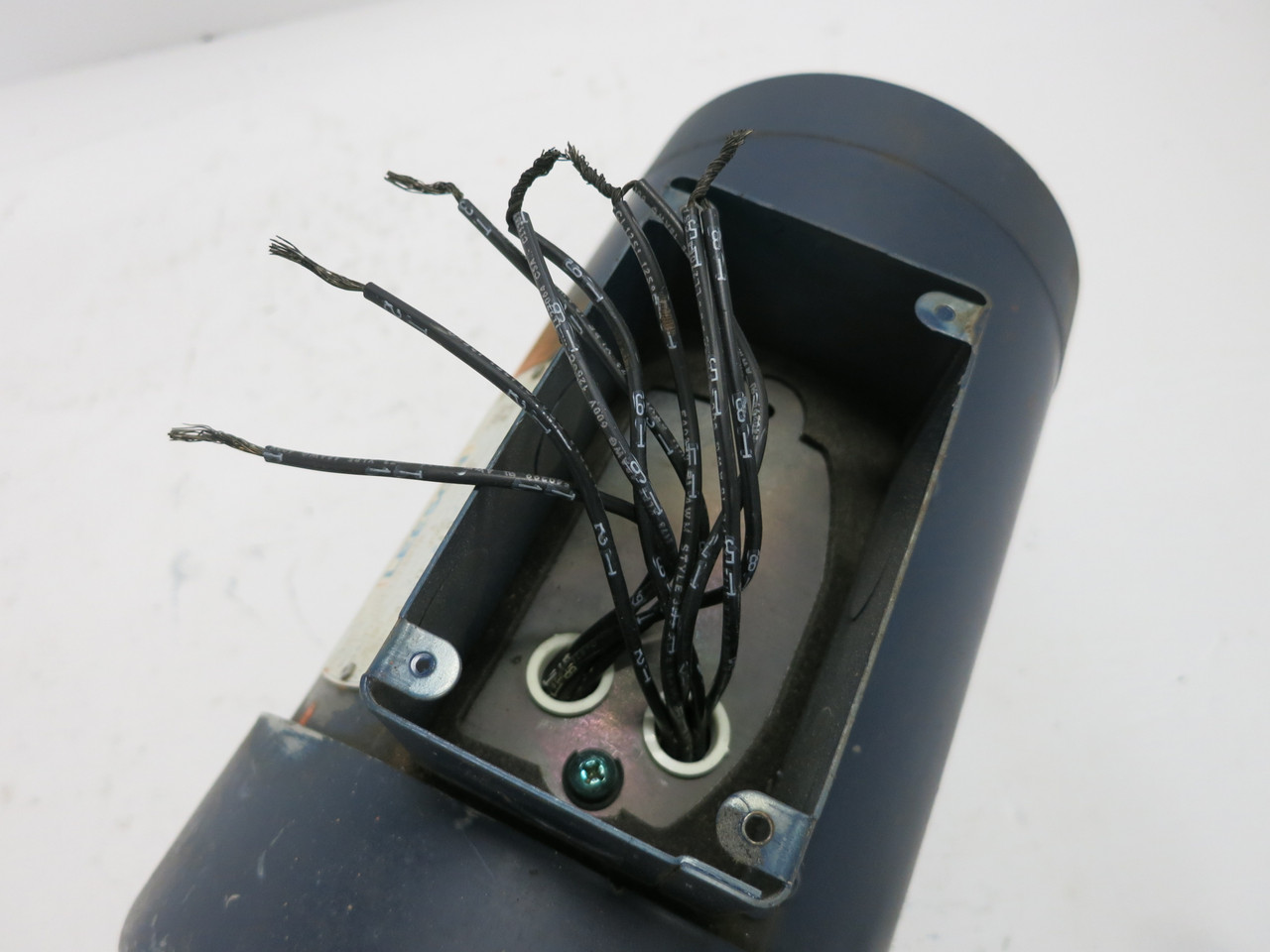 NEW Leeson 113890.00 3 HP AC Motor 230/460V 1725 RPM C6T17FC91B TEFC J56C (DW7825-1)