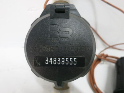 NEW Badger Meter 62584-001 Model 25 Recordall 5/8" - 3/4" w/ Orion 80649242-P (DW7784-19)