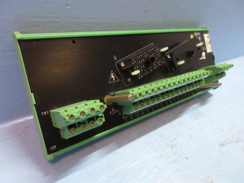 Moore 16170-1-6 APACS VIM Voltage Input Module Siemens PLC Board (TK3573-1)