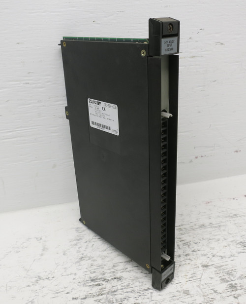 Reliance Electric 61C516 24V AC/DC Input Module AutoMax PLC 57637-A (DW7893-1)