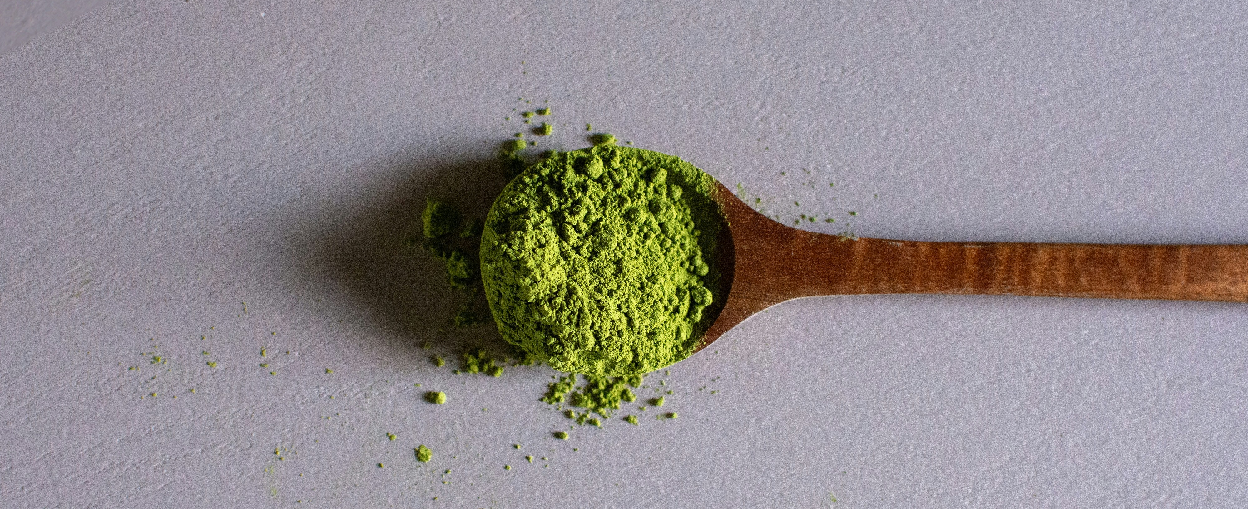 The Herb That Knows When to Fight and When to Calm Down
