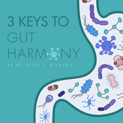 3 Keys to Gut Harmony