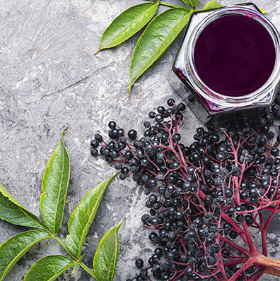 Health Benefits of Elderberry