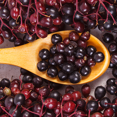 Elderberry & Immune Support