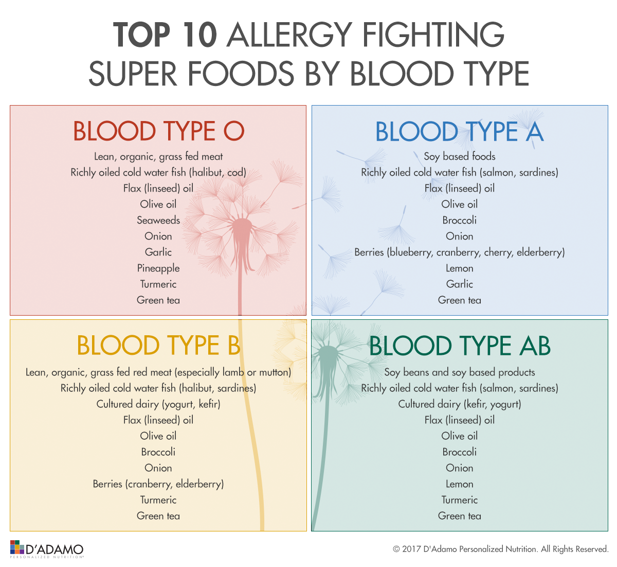 The O Positive Blood Type Diet: Everything You Need to Know About