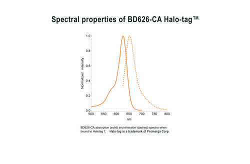 BD626-CA