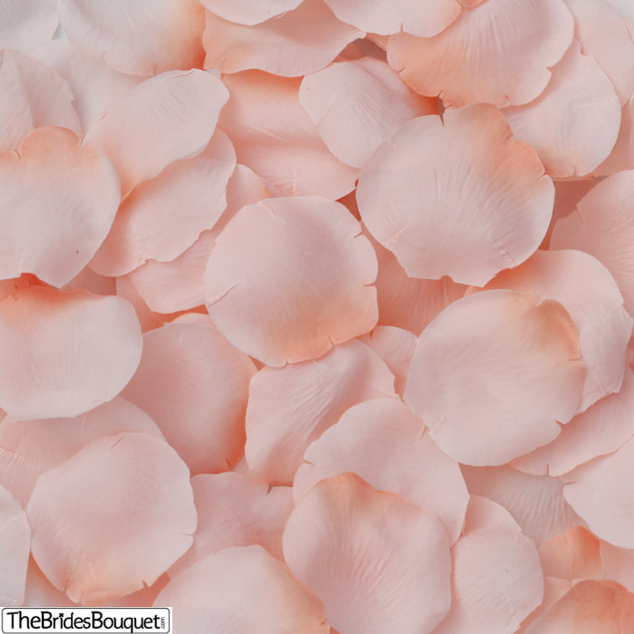 Light Pink Rose Petals