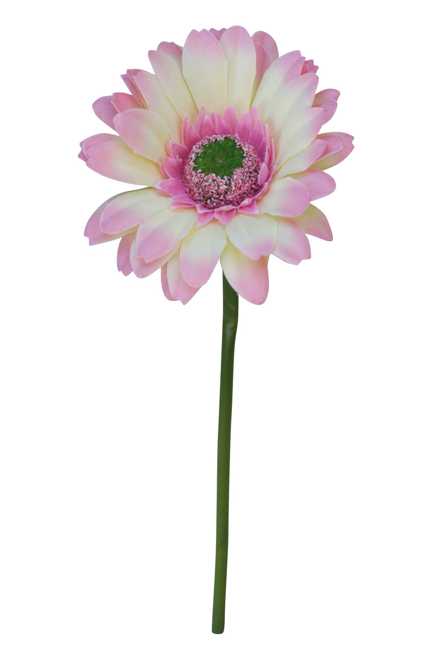 Blush Pink Faux Daisy Artificial Flowers | 10 Tall x 3.5 bloom (1 stem)