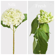 Silk vs Fresh Wedding Flowers: Which Is Right for Your Wedding?