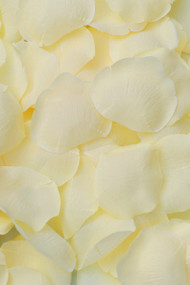 Ivory Rose Petals for Wedding Aisle