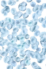Sky Blue Rose Petals | Wedding Aisle
