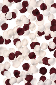 Ivory Rose Petals for Wedding Aisle 