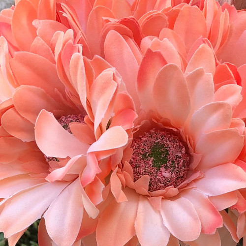 Peach Coral Gerbera Daisy Bridal Bouquet, Artificial Wedding Flowers, Silk  Wedding Bouquets