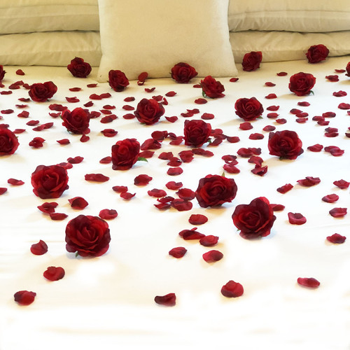 Red Roses Petals LOVE Romance  Decoration  Package 