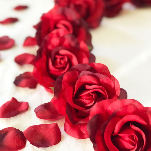 Romantic Red Rose Petals