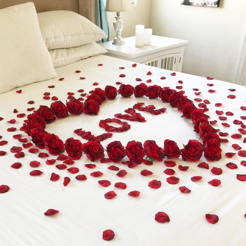 Red Roses Petals LOVE Romance  Decoration  Package 