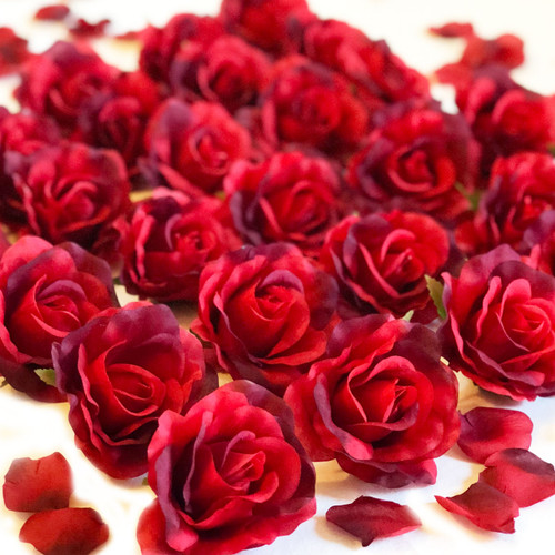 Red Roses Petals LOVE Romance  Decoration  Package 