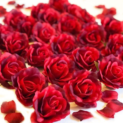 Red Roses + Petals = LOVE Romance Package