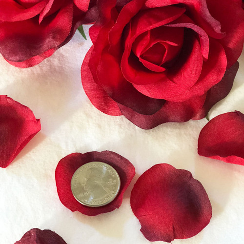 Red Roses + Petals = LOVE Romance Package