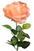 Peach Coral Rose Stem | Artificial Flowers | Fake Roses | Silk Roses | Faux Flowers | Flowers in Bulk(1 stem)