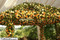 Yellow Rose Garland | Artificial Wedding Flowers | 8 feet long