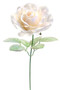 Ivory Blush Rose Stem | Artificial Flowers | Fake Roses | Silk Roses | Faux Flowers | Flowers in Bulk (1 stem)