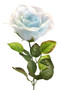 Light Blue Rose Stem | Artificial Flowers | Fake Roses | Silk Roses | Faux Flowers | Flowers in Bulk (1 stem)