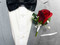 Red Rose + Babies Breath Boutonniere | Wedding Groom Boutonniere