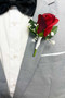 Red Rose + Babies Breath Boutonniere | Wedding Groom Boutonniere