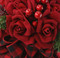Christmas Red Velvet Rose Bouquet Wedding