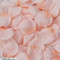 Coral Peach Rose Petals | Wedding & Aisle Decoration