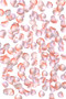 Coral Peach Rose Petals | Wedding & Aisle Decoration