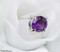 Bouquet Jewels (Purple Diamond) - 3.5 Carat - Pack of 12 Stems