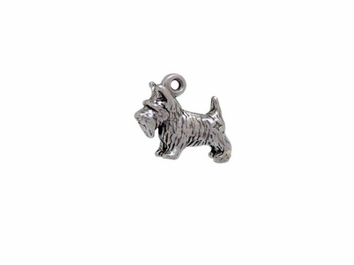 Scotty Charm
