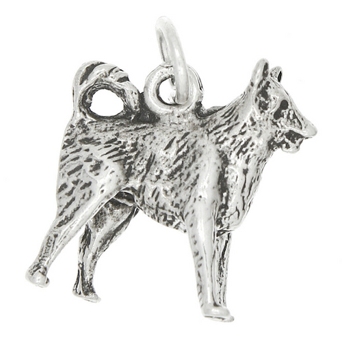 Border Collie Charm