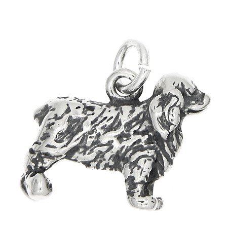 Cocker Spaniel Charm