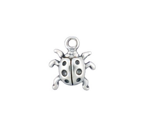 Ladybug "3-D" Charm