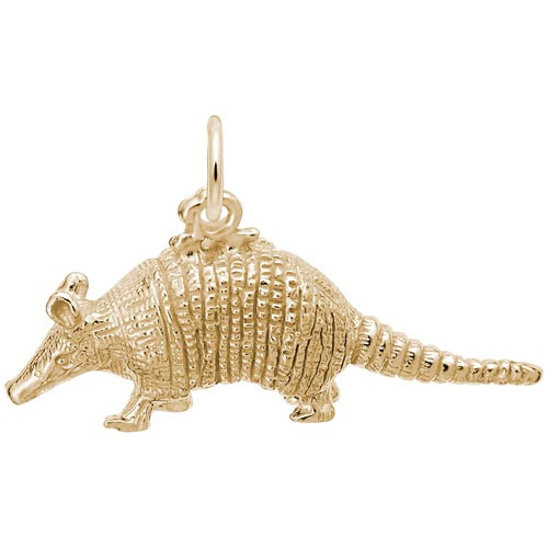 Armadillo "Rembrandt" Charm