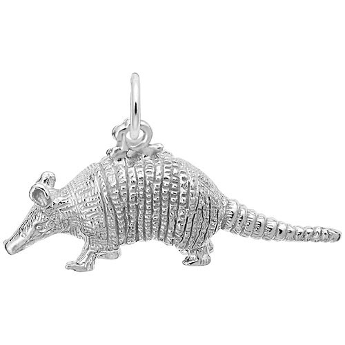 Armadillo "Rembrandt" Charm